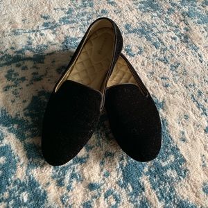 Birdies “The Starling”